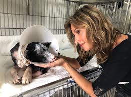 Facebook.com/luisamelloficial instituto luisa mell site resgates feitos por luisa mell. Acao De Luisa Mell Faz Petz Parar De Vender Caes E Gatos