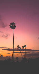 Tumblr Iphone Wallpapers Top Free Tumblr Iphone Backgrounds Wallpaperaccess Weitere ideen zu hintergrundbilder, hintergrund iphone, hintergrundbilder iphone.