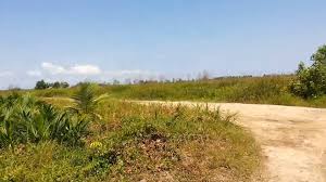 Ketahui penyebab jual beli tanah dianggap tidak sah. Cara Melakukan Kredit Tanah Kavling Tanpa Dp Sang Omah