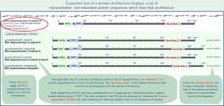 How To Use The Conserved Domain Database Cdd Find Proteins With Similar Domain Architectures