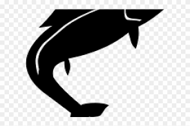 fish vector hd png download 640x480 6560618 pngfind fish vector hd png download 640x480