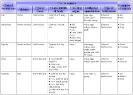 1 Characteristics And Classification Of Organisms Ms