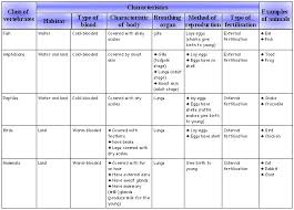 1 characteristics and classification of organisms ms