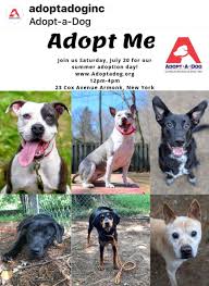 Then get ready to meet your new best friend! Loretta Swit On Twitter Who S Going Head To Adoptadoginc See My Good Friends At Their Summer Adoption Event This Sat 7 20 In Armonk Ny Take Home Your New Furbaby Would Ya