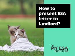 How To Present Esa Letter To Landlord Being A Landlord Esa Letter Emotional Support Animal