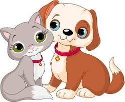 Best Friends Pour Chiens Et Chats Jamais Chien Chat Chien Chats Adorables