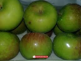 Tak hanya digunakan sebagai makanan buah buahan juga biasa. Pasar Kolombo