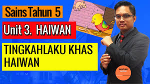 Check spelling or type a new query. Sains Tahun 5 Ciri Khas Dan Tingkahlaku Khas Haiwan Berlindung Daripada Musuh Youtube