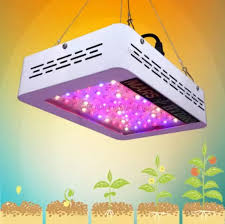 Can i use a regular led light to grow plants. Can I Use Normal Led Lights To Grow Plants Indoors Quora