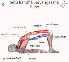 Yoga Exercise: Bridge Pose (Setu Bandhasana) 