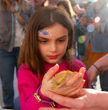 Kingman Fest Saint Albans 4th Year Celebration