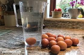 Some eggs are harder to determine by examining them and you just have to use the bowl test. How To Tell If Eggs Are Fresh Poultrykeeper Com