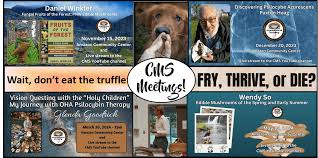 2023-2024 Year in Review