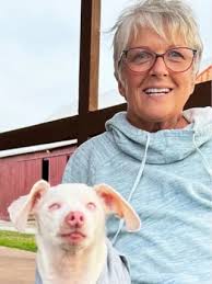 Piglet le célèbre chien sourd et muet vit une rencontre émouvante avec une  "fan" qu'il a aidée à se ressaisir au moment où elle était au plus bas