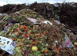 Seperti sudah disebutkan, pakan untuk koki terbagi atas pakan alami dan pakan buatan. Buang Makanan Jangan My Freetime Writing Domain