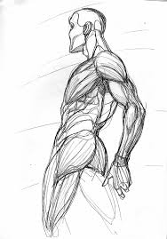 As with every other part of the human body, when drawing hands and feet start out by. Drawing Human Body Anatomy Art Novocom Top