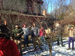 Pruning young trees also reduces unwanted top growth and conserves energy, which can then be used to boost the root system. Pop Pruning Guide Fruit Trees Philadelphia Orchard Project