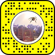 If by chance you are using an old and outdated version of snapchat, then we recommend you to update it with the latest version. Bug Ride Snapchat Lens Filter
