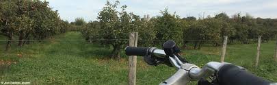Veloroute Val De Seine Tourisme Velo Sur La Route Des Fruits