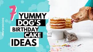 Über 80% neue produkte zum festpreis; Top 7 Diy Dog Cake Ideas That You Can Try At Home Monkoodog