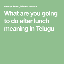 What Are You Going To Do After Lunch Meaning In Telugu Meant To Be Telugu Lunch