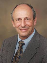 Adaptive Visual Strategies for Individuals with Macular Degeneration