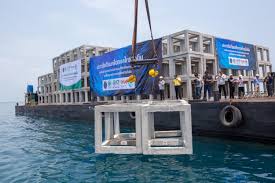 Maybe you would like to learn more about one of these? Artificial Reefs Boost Marine Life