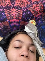 Julie Bosco's Instagram, Twitter & Facebook