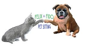 Maybe you would like to learn more about one of these? Felix Fido Pet Sitting Austin Tx