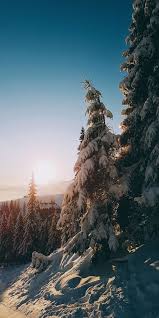 Night skies photo pretty pictures scenery photography starry night adventure is out there pictures nature. Sunrise Tree Winter Landscape Wallpaper Landscape Wallpaper Winter Wallpaper Winter Landscape