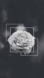See more ideas about black aesthetic, black and white aesthetic, white aesthetic. Aesthetic White And Black Iphone Wallpapers Top Free Aesthetic White And Black Iphone Backgrounds Wallpaperaccess