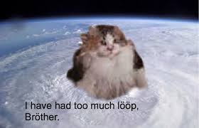 20 Cats Wanting Fruit Loops Memes For The Hungry Brothers Cat Memes Animal Memes Super Cute Cats