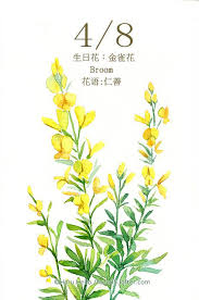 每日一花4 8 每日一花 haru hello flower drawing floral art flower art