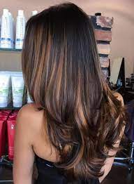 Black hair highlights require a serious thought before going for the look. 70 Flattering Balayage Hair Color Ideas For 2021 Balayage Hair Hair Color Balayage Hair Styles