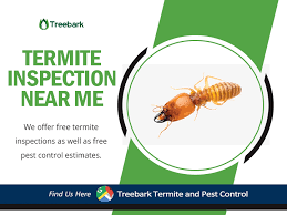 These are termites that are typically associated with northern states, make colonies outside if you see these tubes, contact a pest control company to identify if it is, in fact, a termite tube. Treebark Termite And Pest Control Laguna Beach