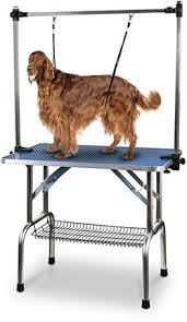 Pin Na Doske Dogs And Cats Grooming