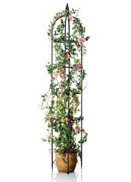 Wenn du nach rankhilfe tests und erfahrungsberichten zu rankhilfen suchst, bist du andernorts besser aufgehoben. Rankgitter Aus Schwarz Lackiertem Metall Gartenpflege Bader