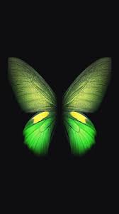 Samsung Galaxy Fold 4k In 480x854 Resolution Samsung Galaxy Wallpaper Samsung Galaxy Wallpaper Android Samsung Wallpaper Android