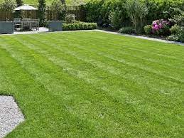 Keep your grass looking green and healthy throughout the seasons with our tips and advice. 7 Lawn Care Tips Lovethegarden