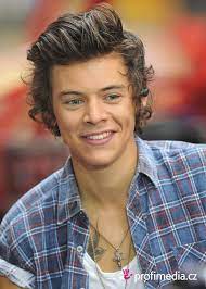 I capelli di harry styles fanno sempre notizia. Harry Styles Frisur Zum Ausprobieren In Efrisuren