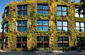 Unglaubliche Vertikale Garten Und Grune Wande 30 Ideen Zum Bewundern Vertikaler Garten Grune Fassade Grune Wande