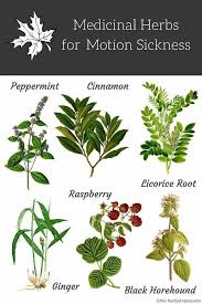 Pin By Charli Campbell On Herbs Medical Herbs Herbs Healing Herbs