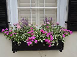 Full Sun Window Box Low Water Drought Tolerant Vinca Window Box Flowers Window Box Plants Fall Window Boxes