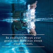 So here are the best pool captions for instagram pictures. 51 Best Quotes For Swimming Lovers Inspiring Swim Status