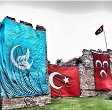 Zor Ama Bu Paylasima 1 000 Tane Turk Bayragimiz Gelir Mi Artwork Starry Night Art