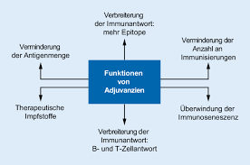 Jul 20, 2021 · 21 tage und max. Zusammensetzung Und Wirkmechanismen Von Adjuvanzien In Zugelassenen Viralen Impfstoffen Springerlink