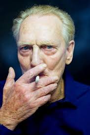 Resultados para "Ginger"