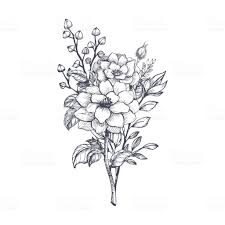 Hand Drawn Flower Bouquet Royalty Free Hand Drawn Flower Bouquet Stock Vector Art More Images Of Flo Hand Drawn Flowers Flower Drawing Flower Bouquet Drawing