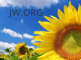 pin by melody burchell on jw org sunflower wallpaper beautiful flowers sunflower wallpaper hd