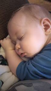 Grandson enjoyed the drama show last night